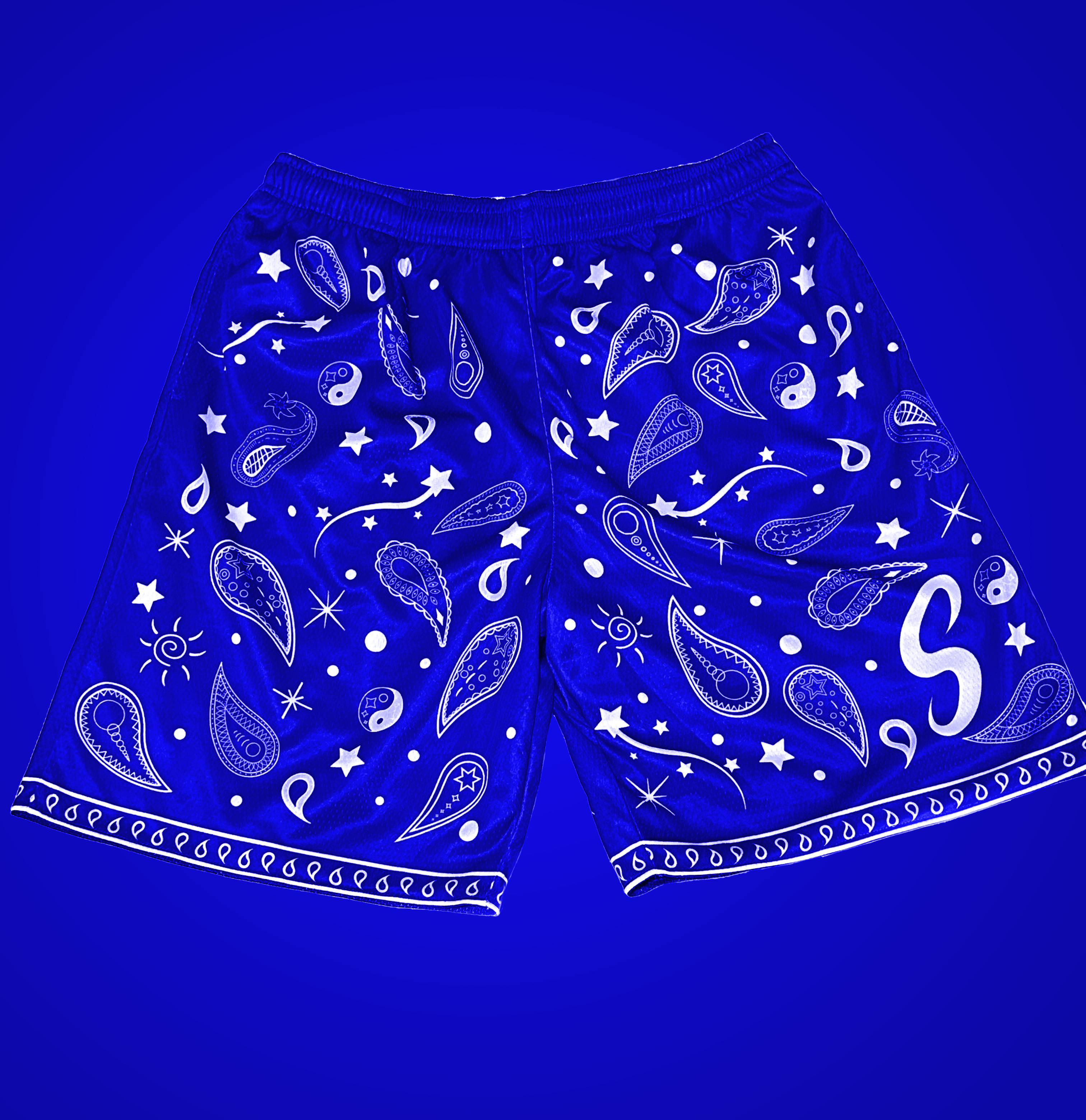 Bandana Paisley Shorts - Monarch Blue